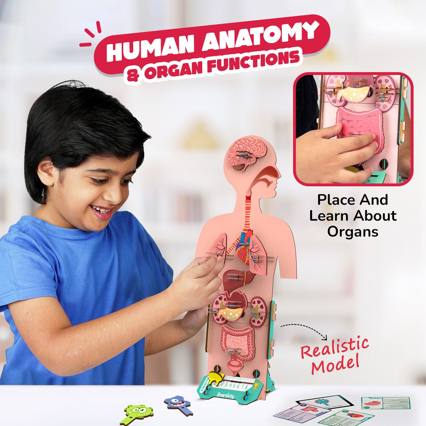 Human Body Germ Buster | DIY STEAM 5-in-1 Game | 6 + Years