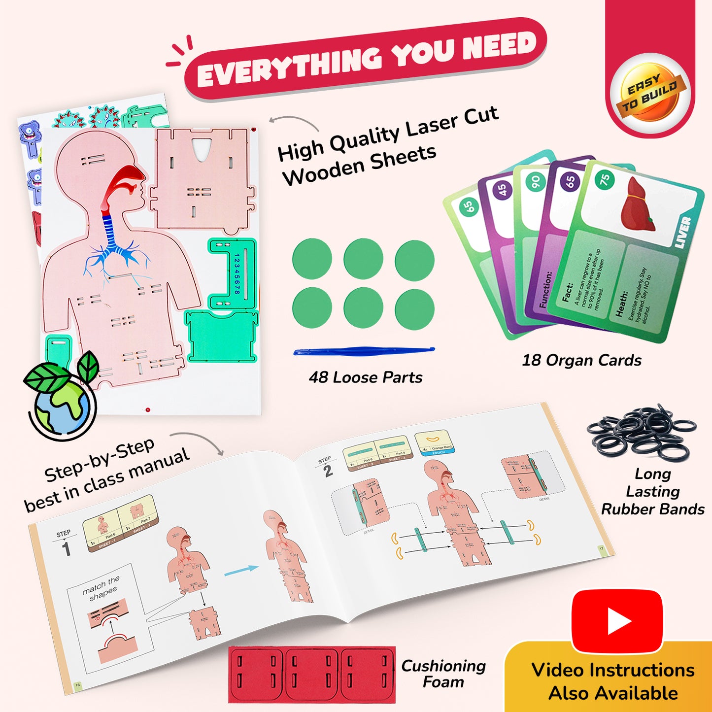 Human Body Germ Buster | DIY STEAM 5-in-1 Game | 6 + Years