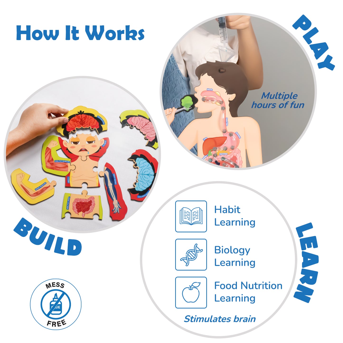 Food Body & Nutrition| DIY Activity Kit | 6 + Years