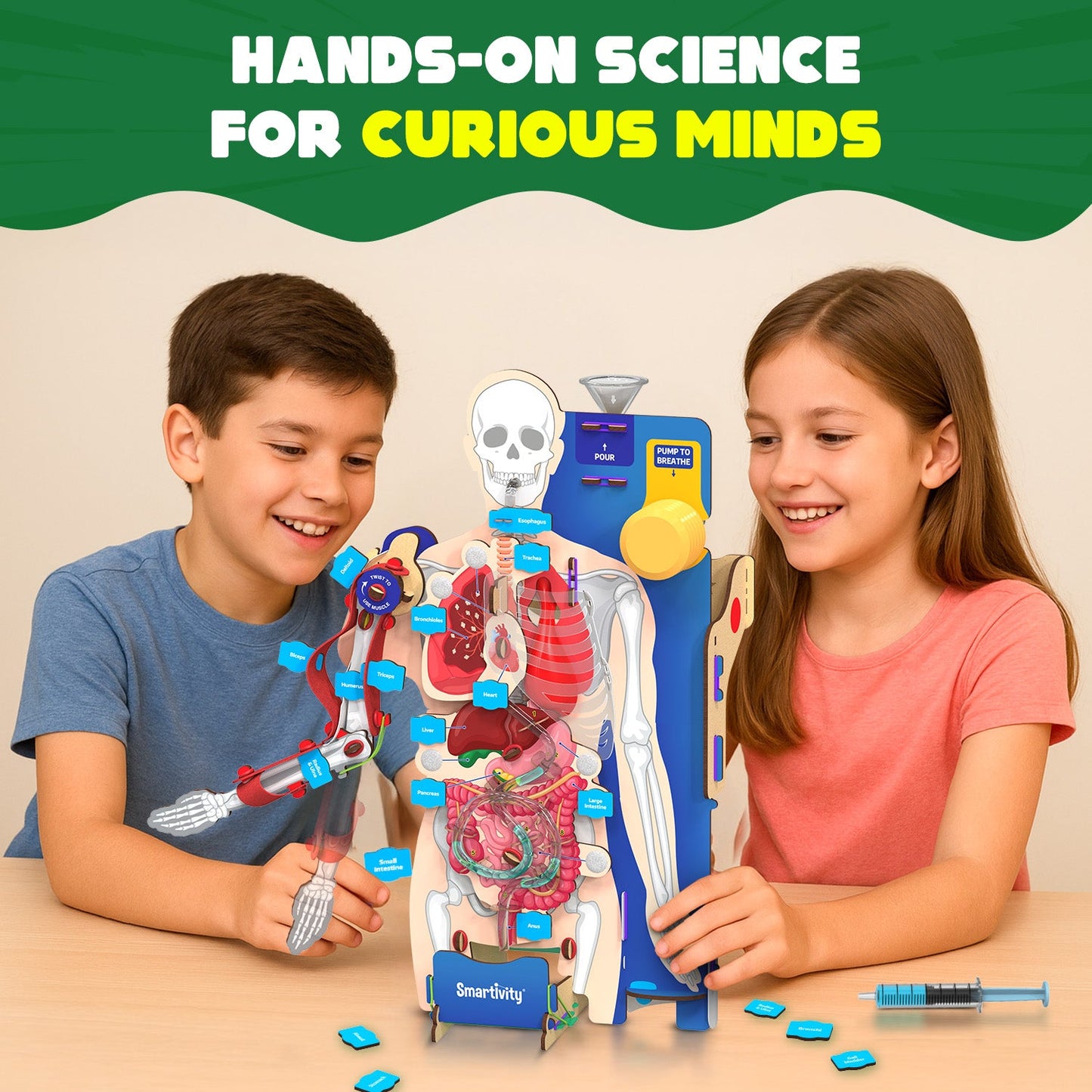 Interactive Human Body | 8 - 14 years | DIY STEM Construction Toy