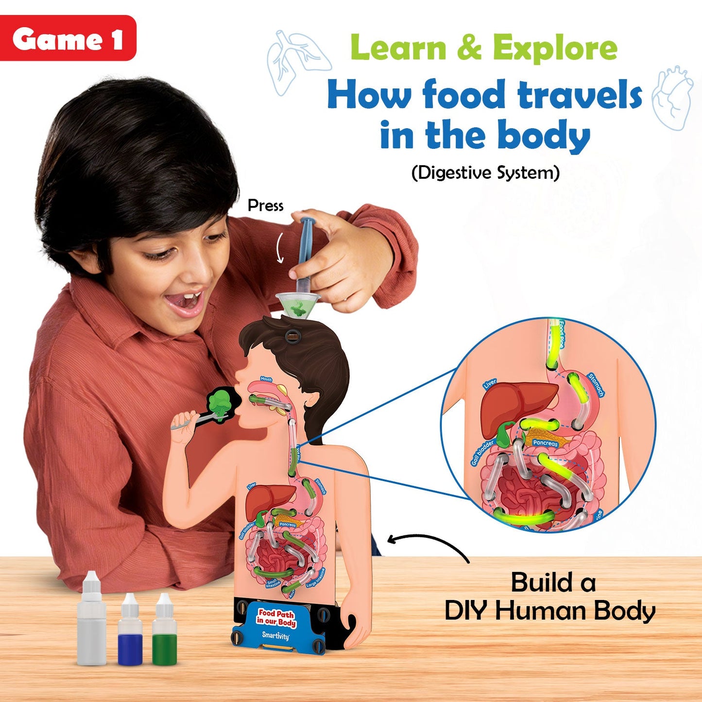 Food Body & Nutrition| 6 -14 years | DIY Activity Kit