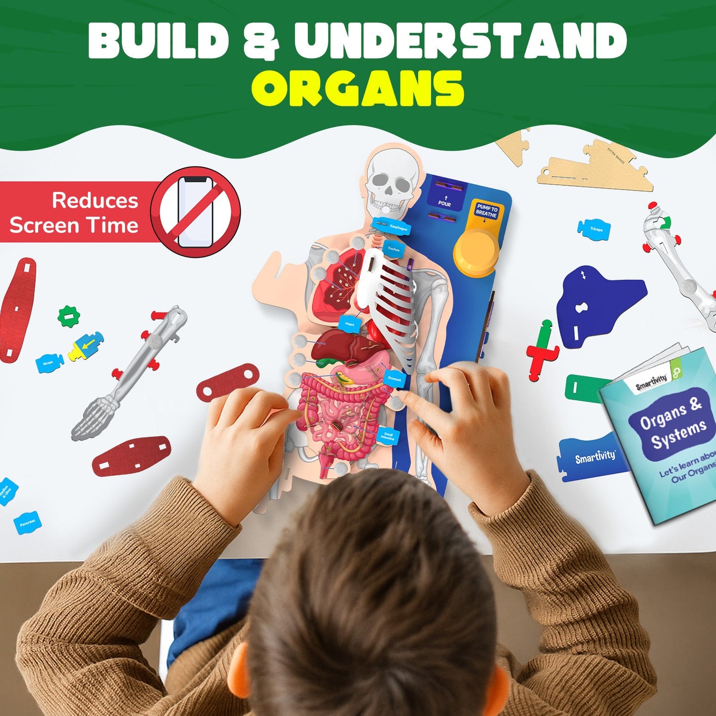 Interactive Human Body | 8 - 14 years | DIY STEM Construction Toy