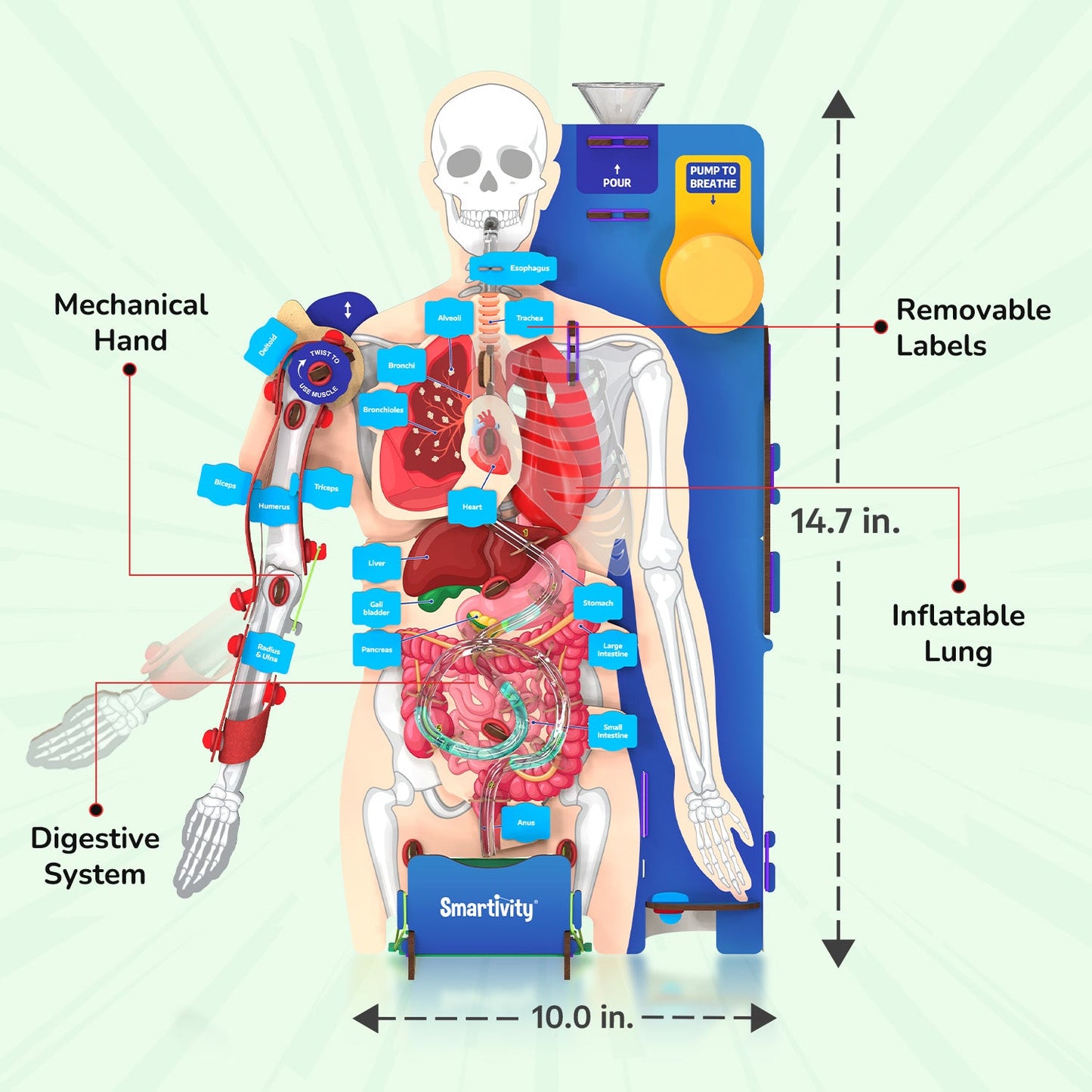 Interactive Human Body | 8 - 14 years | DIY STEM Construction Toy